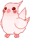 bouncy bird